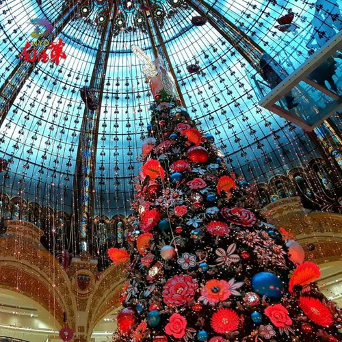 news-730-730 news-730-730