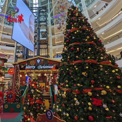 Gigantische toren kerstbomen